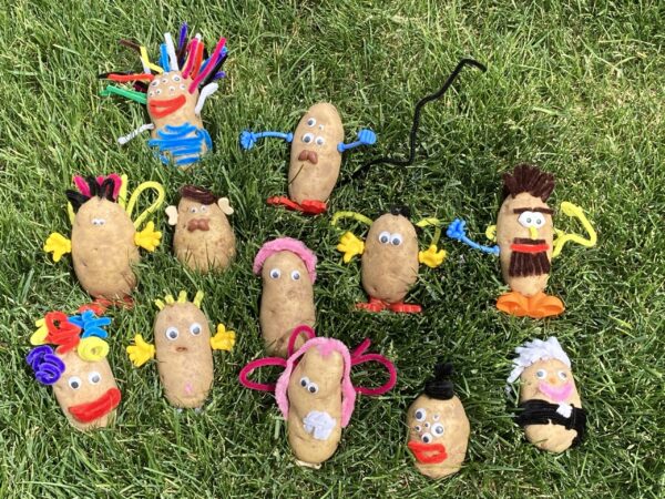 Wild Potato Days activity