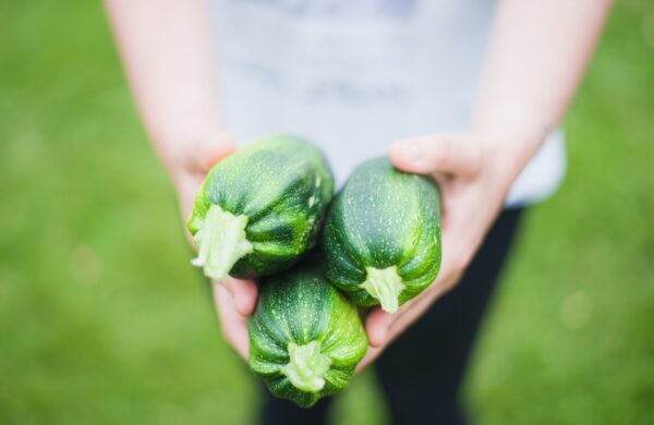 A person holds out zucchini for a neighbor