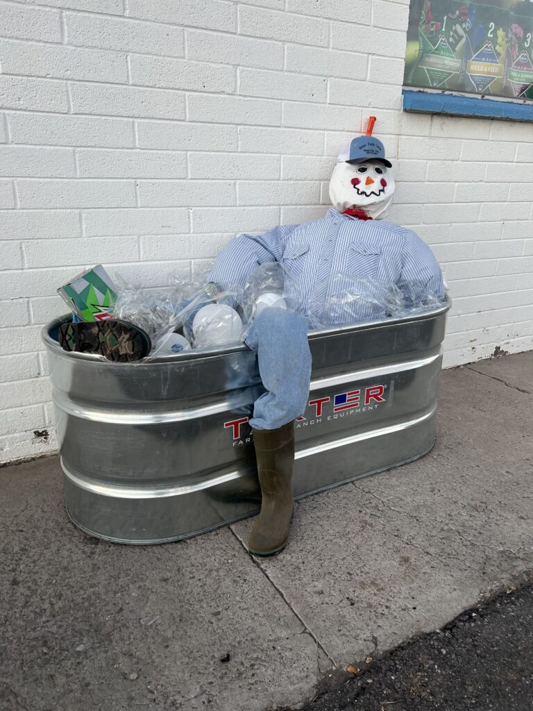 scarecrow in a cooler