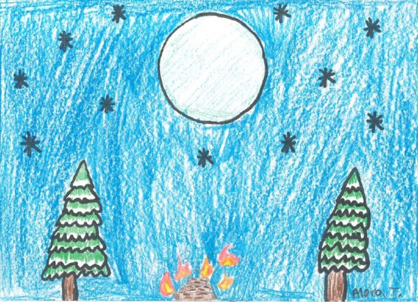 Christmas trees with the stars, the moon, and a campfire around them.