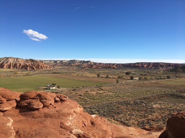 Green fields, red rocks, and a couple of cows in Cannonville, Utah