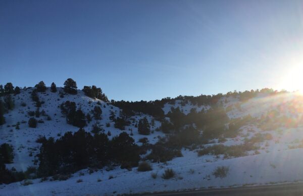 Snow on Merrill's Bench