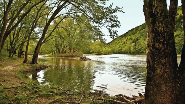 Susquehanna River