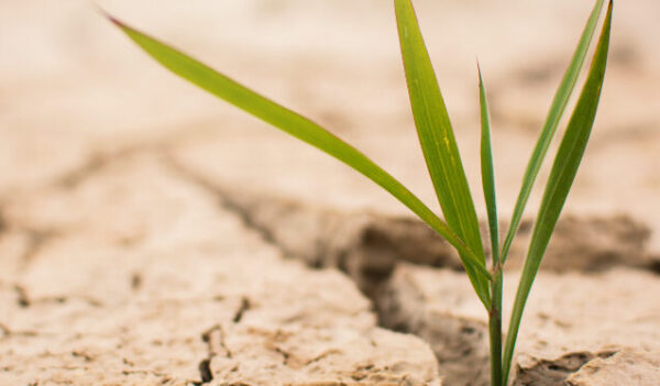 Water Conservation stock photo