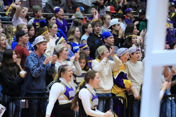 Cheerleaders and fans yell during the state game.