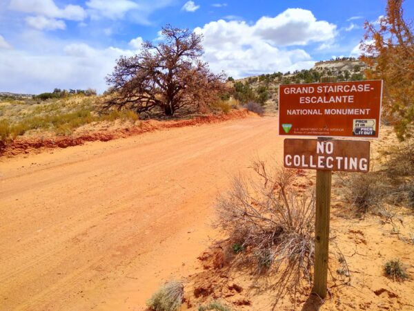 The road to Spencer Flat in the middle of the Grand Staircase-Escalante National Monument.