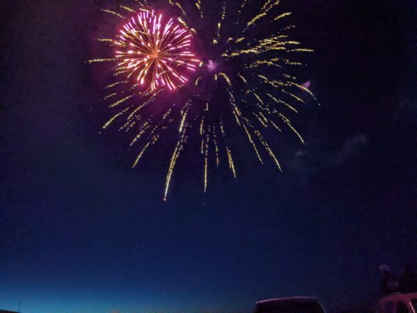 Some pink and gold fireworks in the sky.