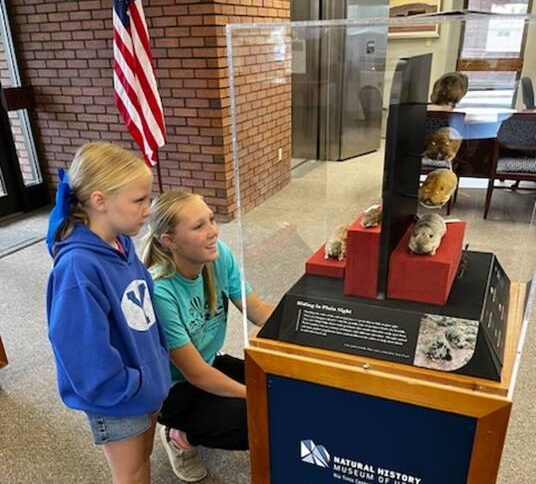 Two girls look at the 'Soil Stories' exhibit on display at the Zions Bank in Panguitch.