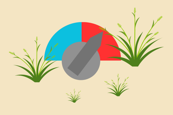 Graphic: A heat dial turns up to red, surrounded by long grasses.