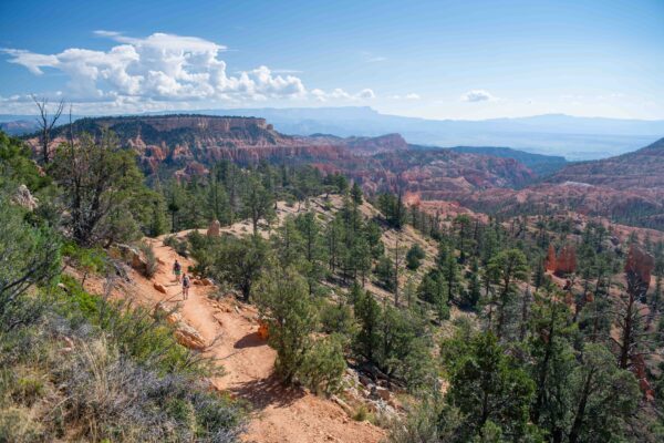 Two hikers walking down a Bryce Canyon trail.