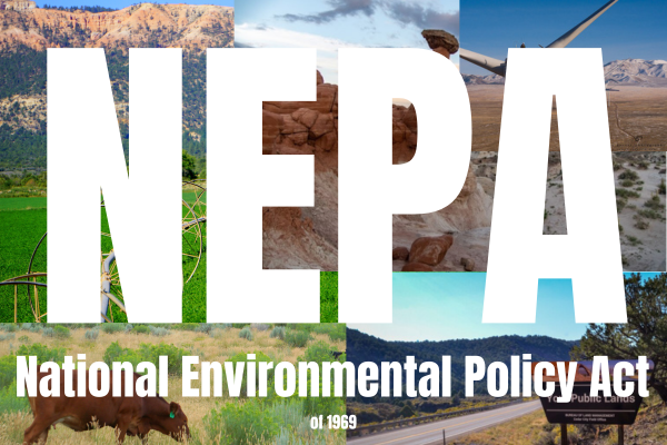 Graphic reading "NEPA: National Environmental Policy Act of 1969"