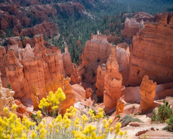 Thor's hammer at Bryce Canyon in the fall.