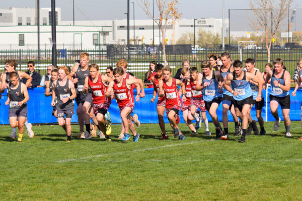 A group of cross country runners leaving the grassy finish line just after the beginning of the race. Spectators watch from behind them.