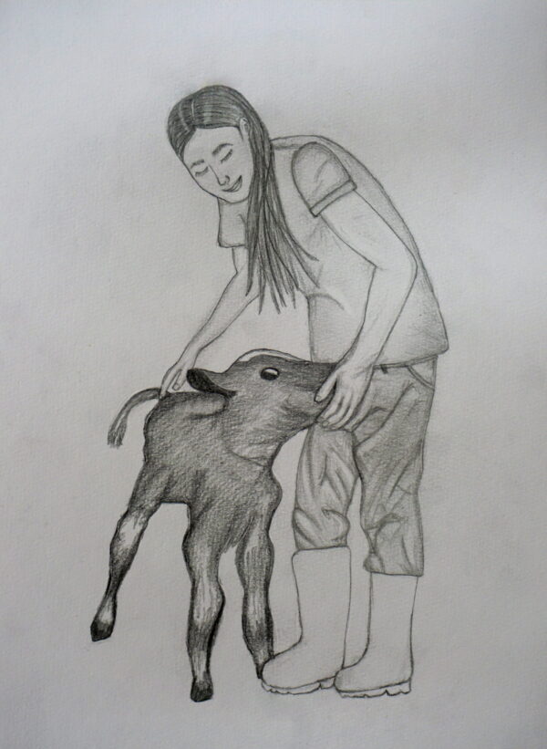 A pencil drawing of Timber caring for a small calf.