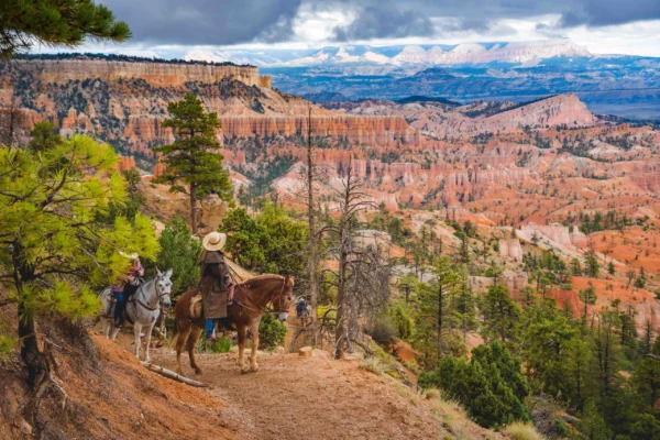 People ride mules and horses through the red hoodoos in Bryce Canyon National Park.