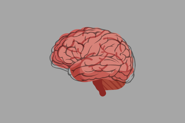 Graphic: A brain. The background is grey.