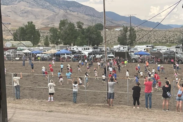 A large group of kids running around the rodeo arena chasing a piglet.