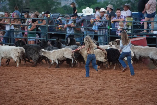 Two girls run toward a group of sheep in Escalante's rodeo arena.