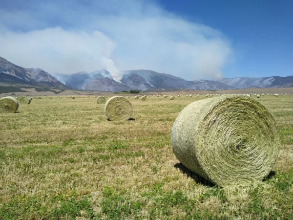 Smoke rising from the mountain outside Marysvale, seen from Highway 89.