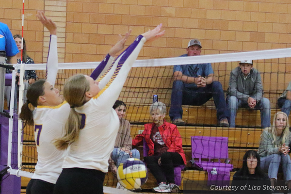 Two Wayne volleyball players go up for a block at the net. Courtesy of Lisa Stevens.