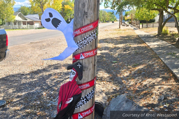 Ghost decorations on a light pole in Circleville. Courtesy of Kristi Westwood.