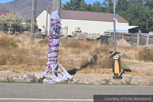 A cotton spider web on a light pole in Circleville. A witch stands by the road sign near it. Courtesy of Kristi Westwood.