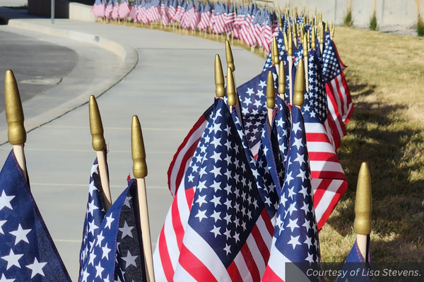 American flags in the grass lining a sidewalk. Courtesy of Lisa Stevens.