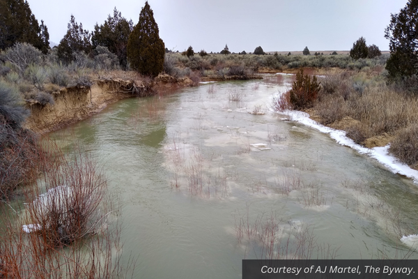 The icy Sevier River in February. Courtesy of AJ Martel.