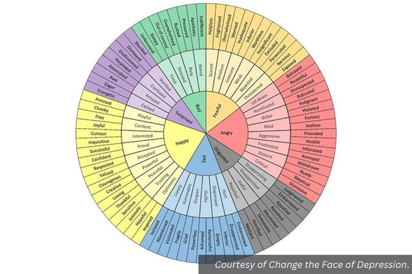 A chart of emotions breaking down happy, sad, disgusted, angry, fearful, bad, and surprised. Courtesy of Change the Face of Depression.