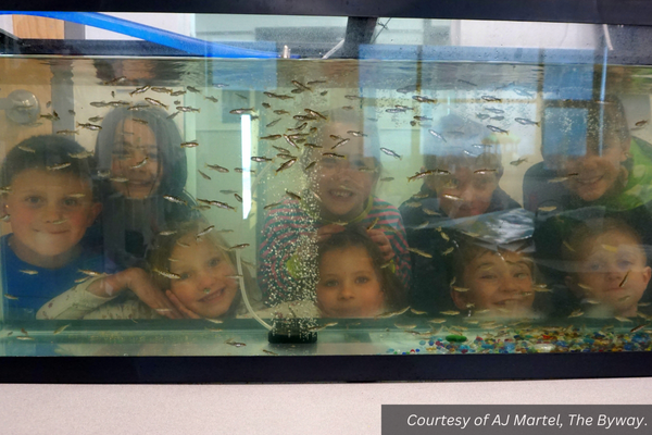 Nine other Escalante first and second graders peering through the tank. Courtesy of AJ Martel, The Byway.